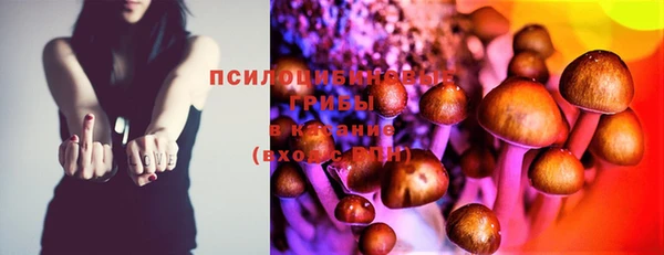 PSILOCYBIN Богородск