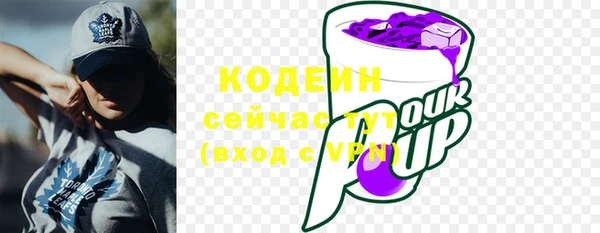 хмурый Богородицк