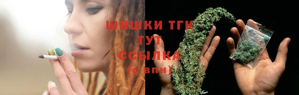 spice Богданович