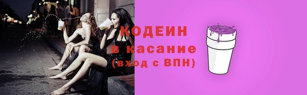 spice Богданович