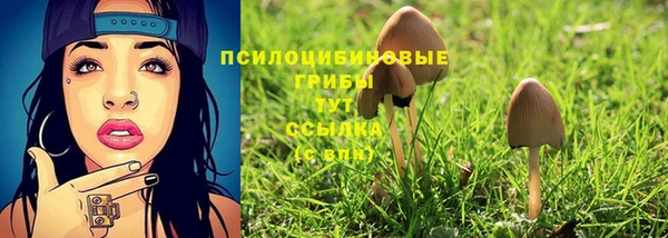 PSILOCYBIN Богородск