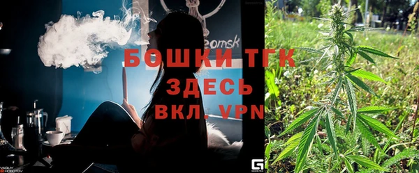хмурый Богородицк